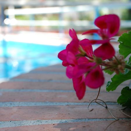 Hotel La Villa 米斯泰尔比安科 外观 照片