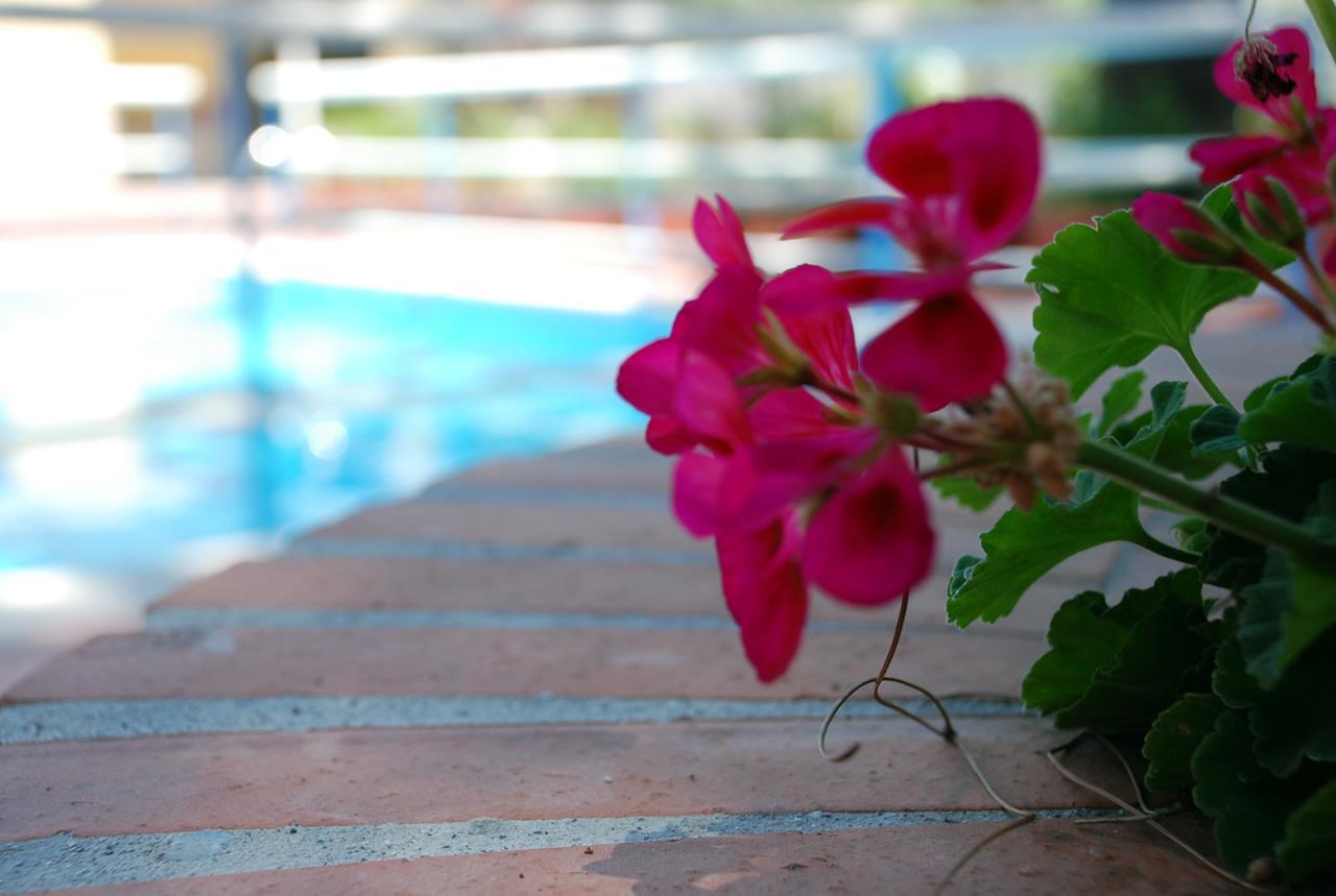 Hotel La Villa 米斯泰尔比安科 外观 照片